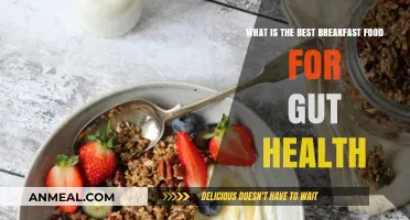 Boost Your Gut Health: Top Breakfast Foods for a Happy Tummy