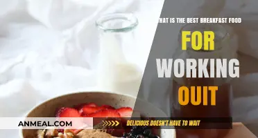 Fuel Your Workout: Top Breakfast Foods for Energy and Recovery