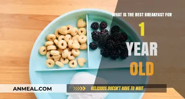 Nutritious and Delicious: Top Breakfast Ideas for Your 1-Year-Old