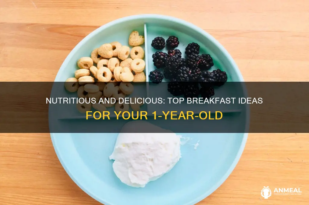 what is the best breakfast for 1 year old