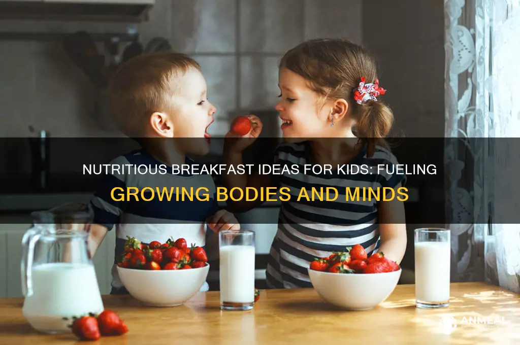 what is the best breakfast for a child