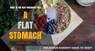 Flat Stomach Breakfast: Top Foods for a Slimmer Morning Start