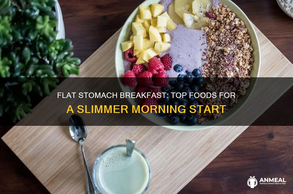 what is the best breakfast for a flat stomach