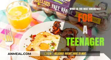 Teen Breakfast Essentials: Fueling Growth, Energy, and Focus Daily