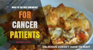 Nutritious Breakfast Ideas to Support Cancer Patients' Health and Recovery