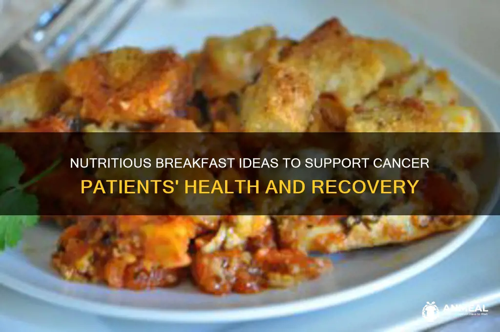 what is the best breakfast for cancer patients