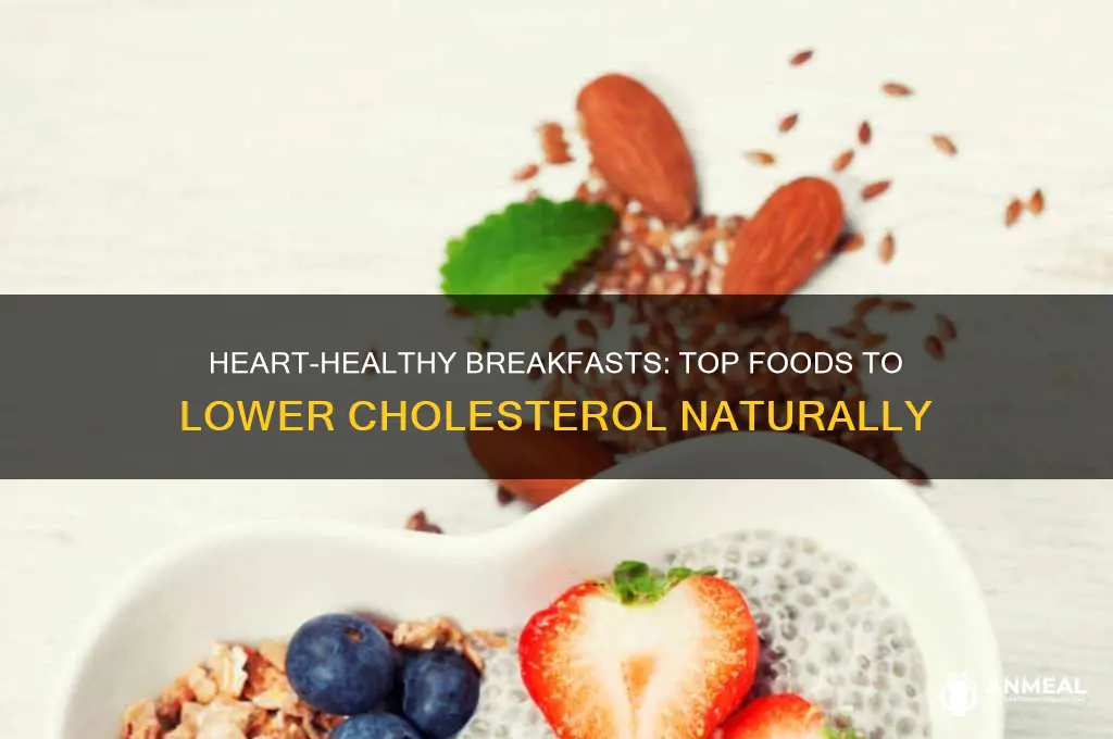 what is the best breakfast for cholesterol