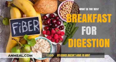 Boost Your Digestion: Top Breakfast Choices for a Healthy Gut