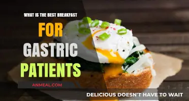 Gentle Morning Meals: Ideal Breakfast Choices for Gastric Health