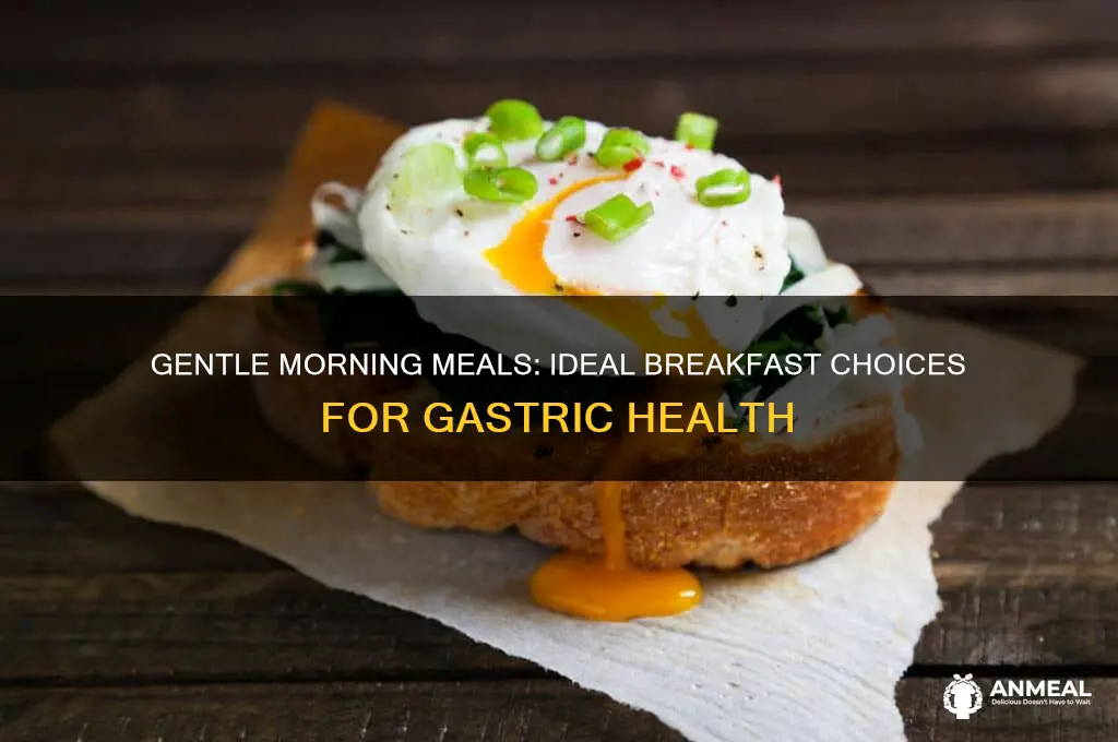 what is the best breakfast for gastric patients