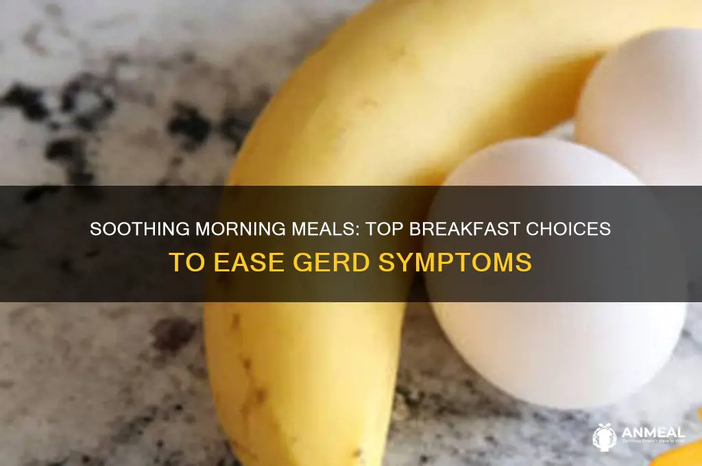 what is the best breakfast for gerd