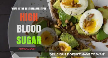 Healthy Breakfast Choices to Manage High Blood Sugar Levels
