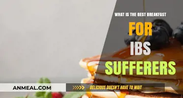 IBS-Friendly Breakfast Ideas for a Healthy Gut
