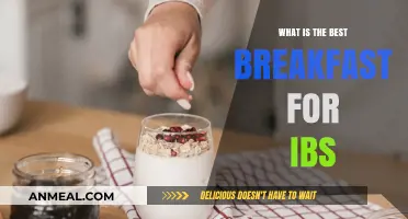 Gentle Morning Meals: Top IBS-Friendly Breakfast Ideas to Start Your Day