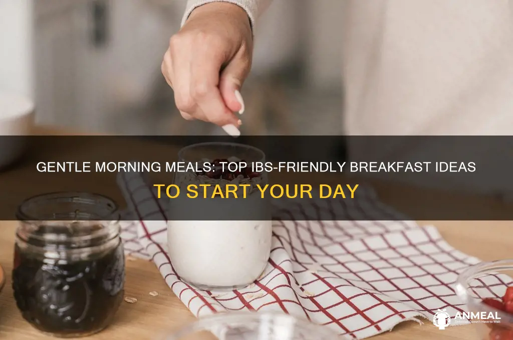 what is the best breakfast for ibs