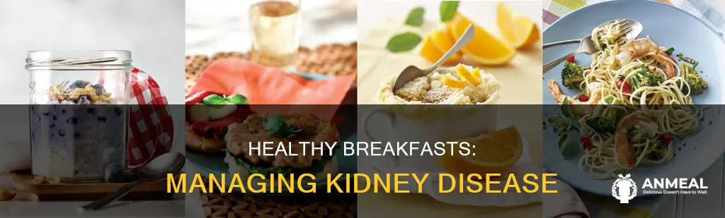 what is the best breakfast for kidney disease