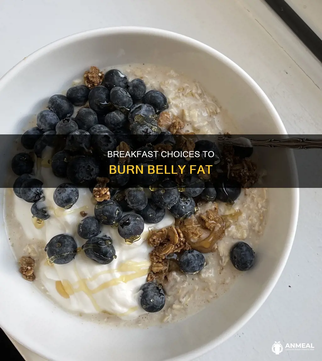 what is the best breakfast for losing belly fat