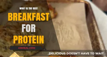High-Protein Breakfast Ideas to Fuel Your Morning Energy Boost