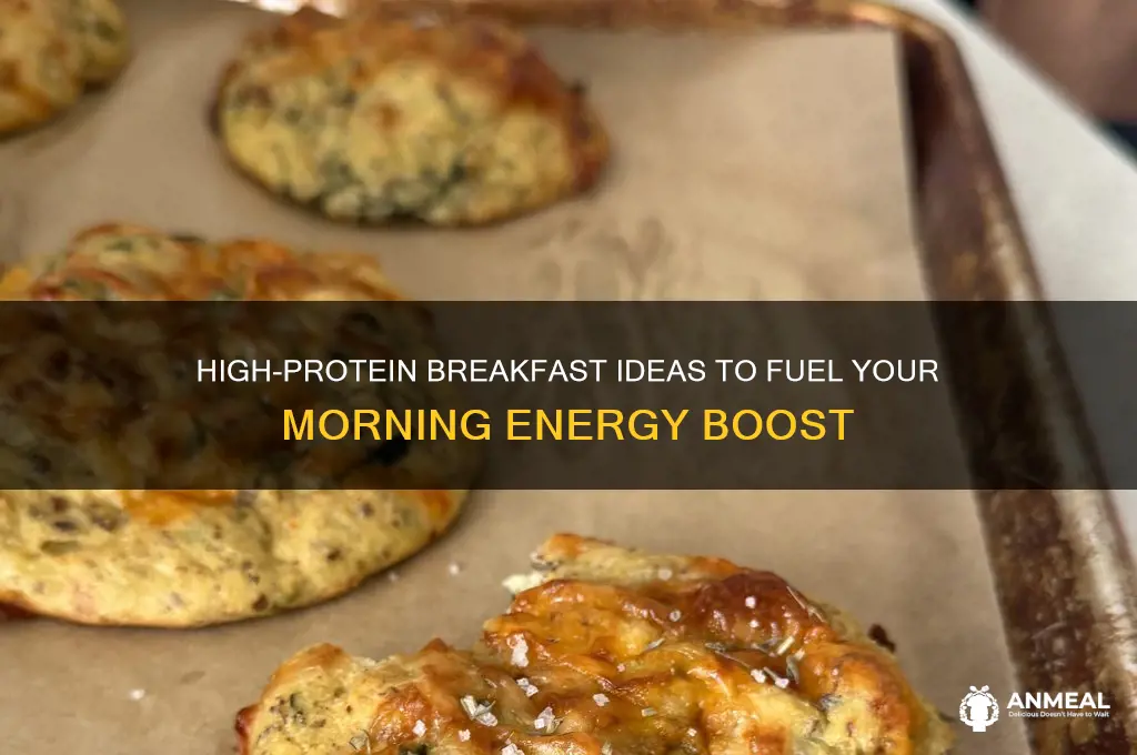 what is the best breakfast for protein