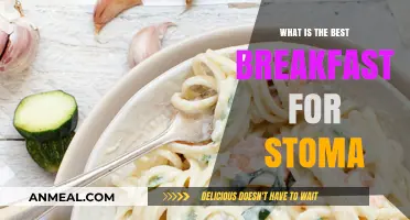 Nutritious Breakfast Ideas for Stoma Care and Optimal Healing