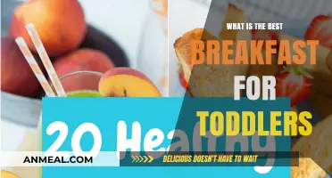 Nutritious Toddler Breakfast Ideas: Healthy, Quick, and Delicious Morning Meals