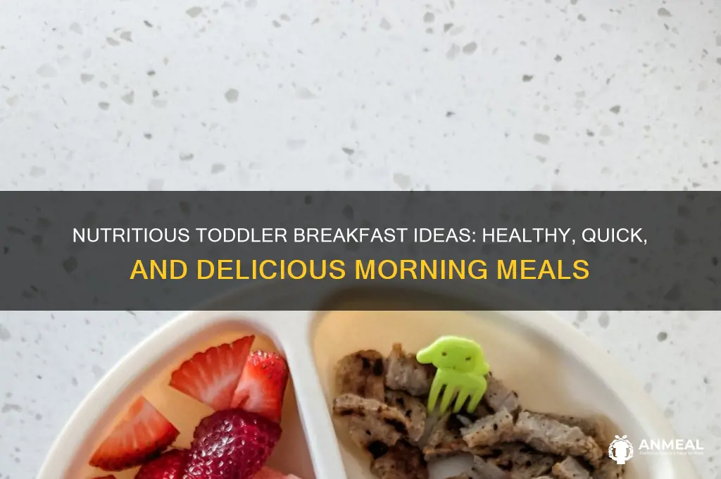 what is the best breakfast for toddlers