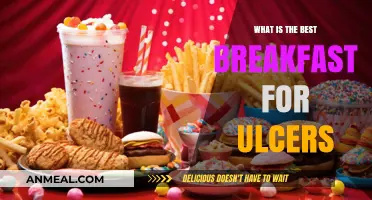 Healing Breakfasts: Top Ulcer-Friendly Foods to Start Your Day Right