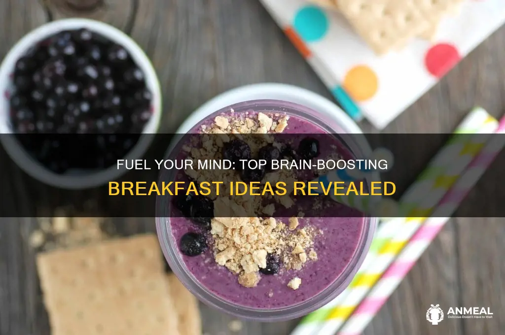 what is the best breakfast for your brain