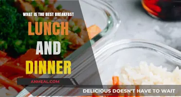 Perfect Daily Meals: Best Breakfast, Lunch, and Dinner Ideas