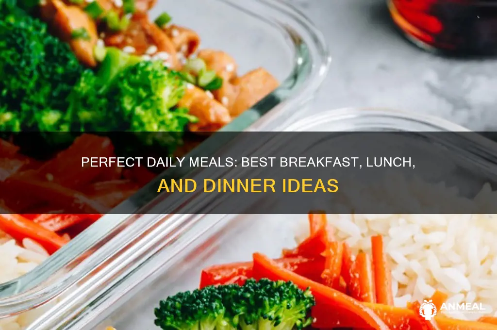 what is the best breakfast lunch and dinner