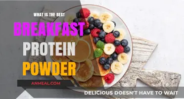 Top Breakfast Protein Powders for Energy and Muscle Recovery