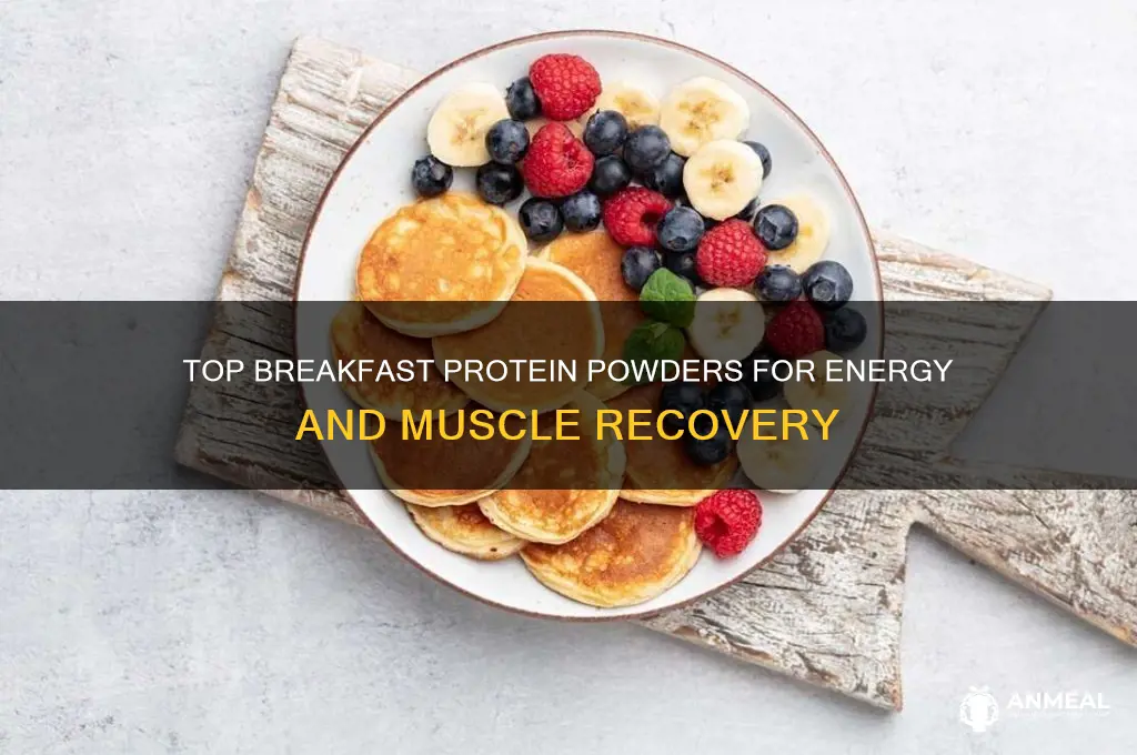 what is the best breakfast protein powder