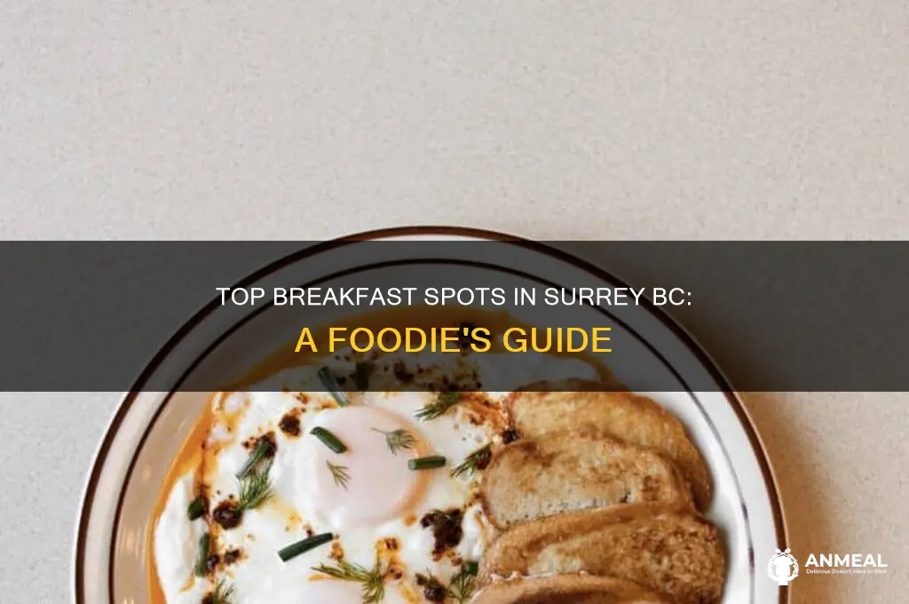 what is the best breakfast restaurants in surrey bc