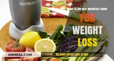 Top Breakfast Shakes to Fuel Weight Loss and Boost Energy