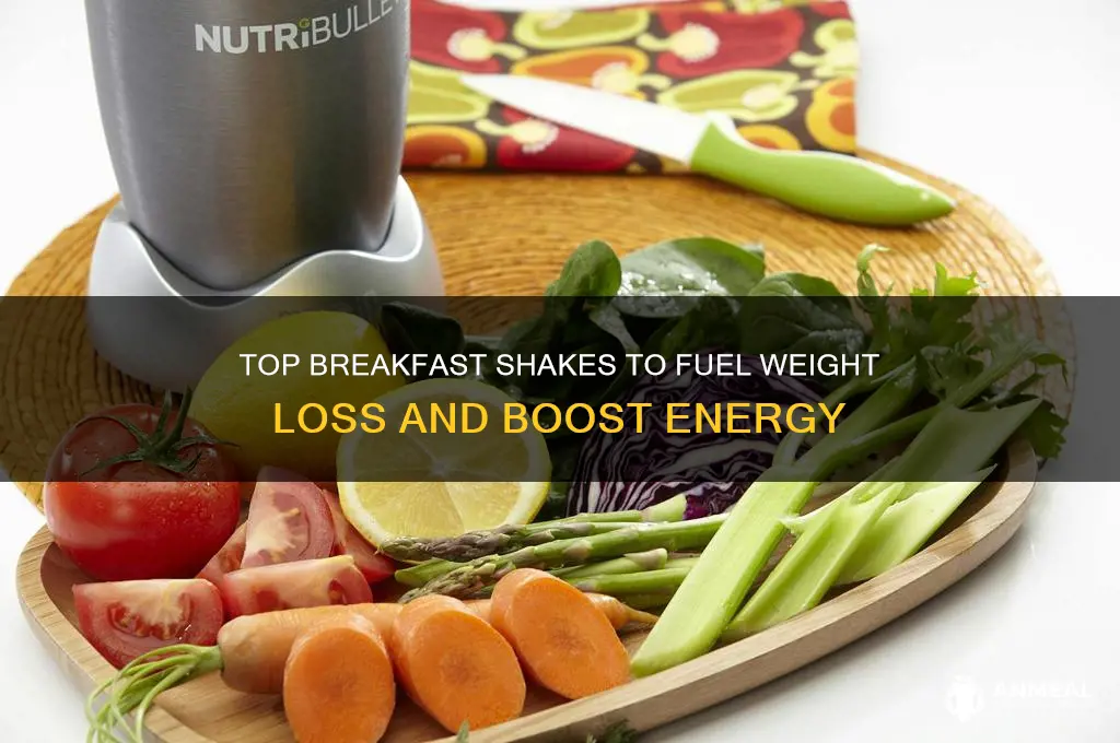 what is the best breakfast shake for weight loss