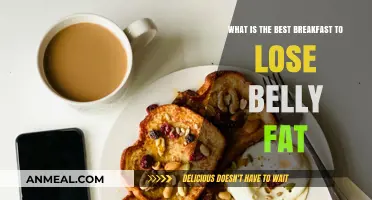 Top Belly-Fat Burning Breakfasts for a Slimmer Waistline