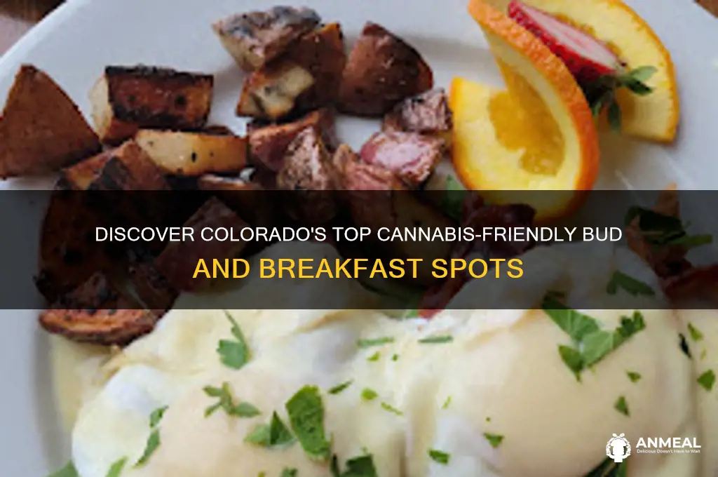 what is the best bud and breakfast in colorado