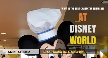 Top Disney World Character Breakfasts: A Magical Morning Guide