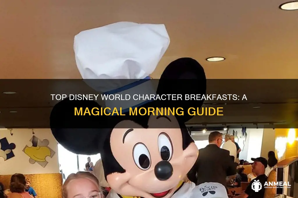 what is the best character breakfast at disney world
