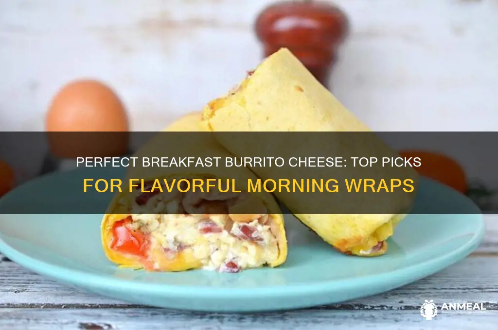 what is the best cheese for breakfast burritos