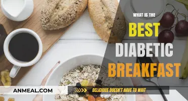 Healthy Breakfast Ideas for Diabetics: Best Morning Meals