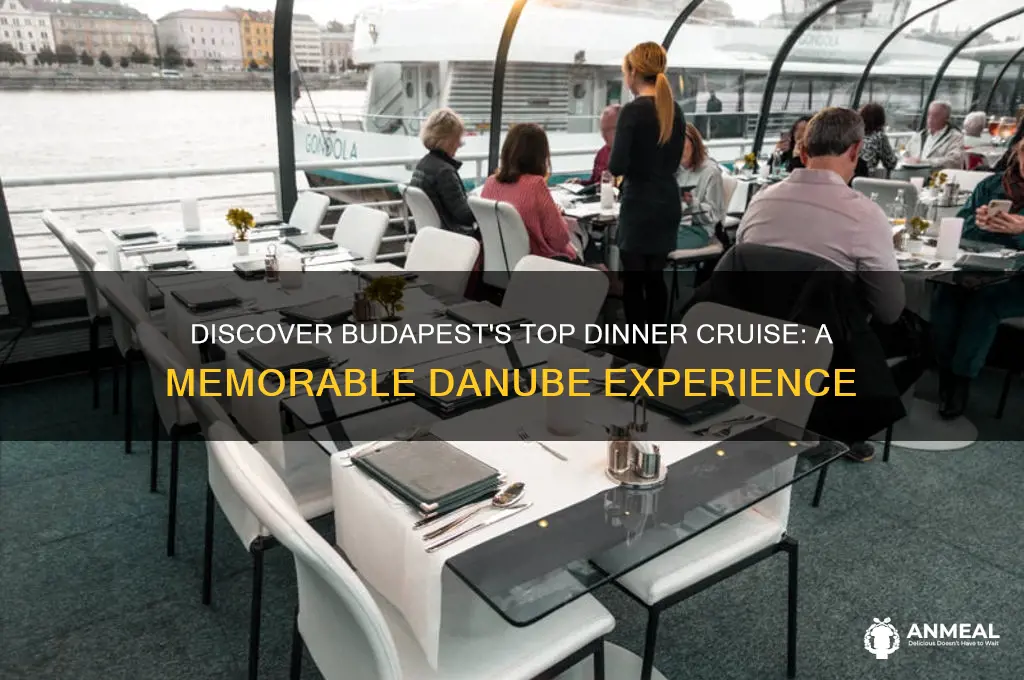 what is the best dinner cruise in budapest