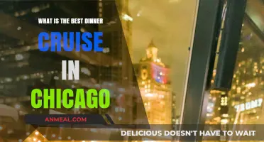 Chicago's Top Dinner Cruise: Unforgettable Dining on the Water