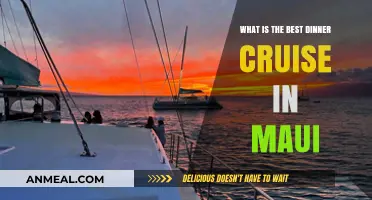 Maui's Top Dinner Cruise: Unforgettable Sunset Dining Experience Guide