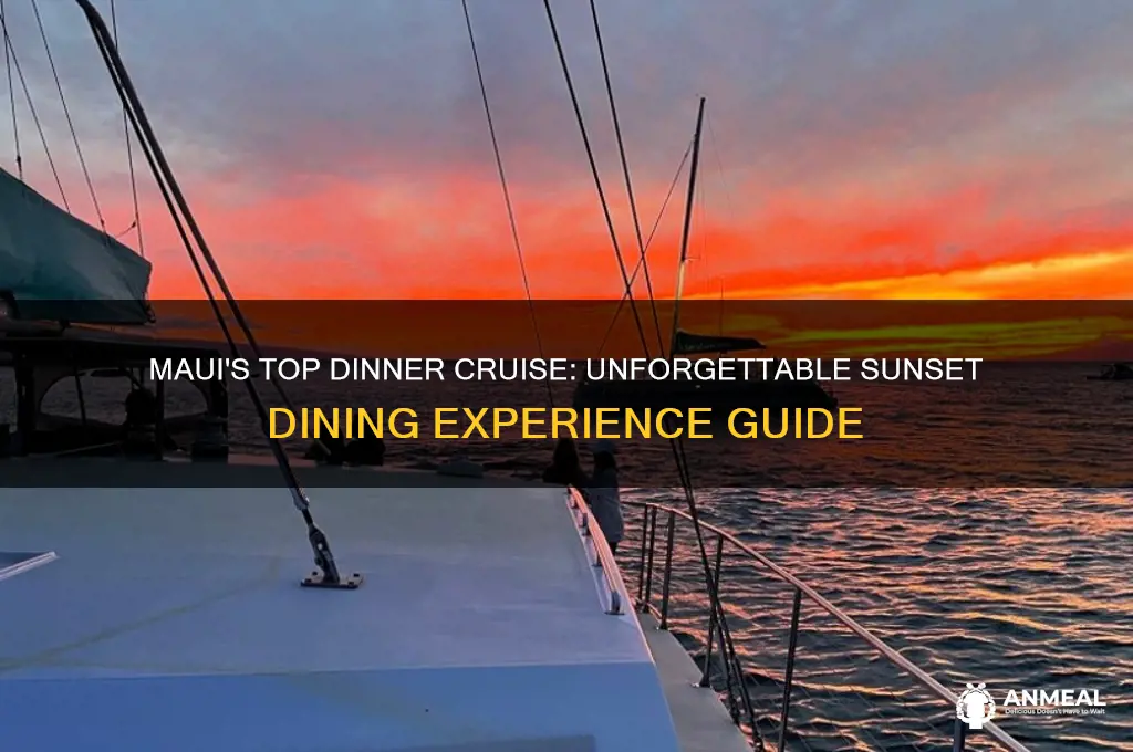 what is the best dinner cruise in maui