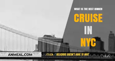 Discover NYC's Top Dinner Cruise: Unforgettable Evening on the Hudson