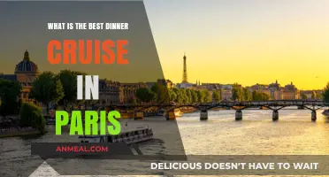 Discover Paris' Top Dinner Cruise: A Magical Seine Experience