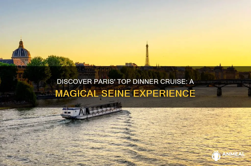 what is the best dinner cruise in paris