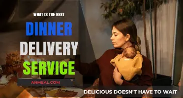 Top Dinner Delivery Services: Which One Delivers the Best Meals?