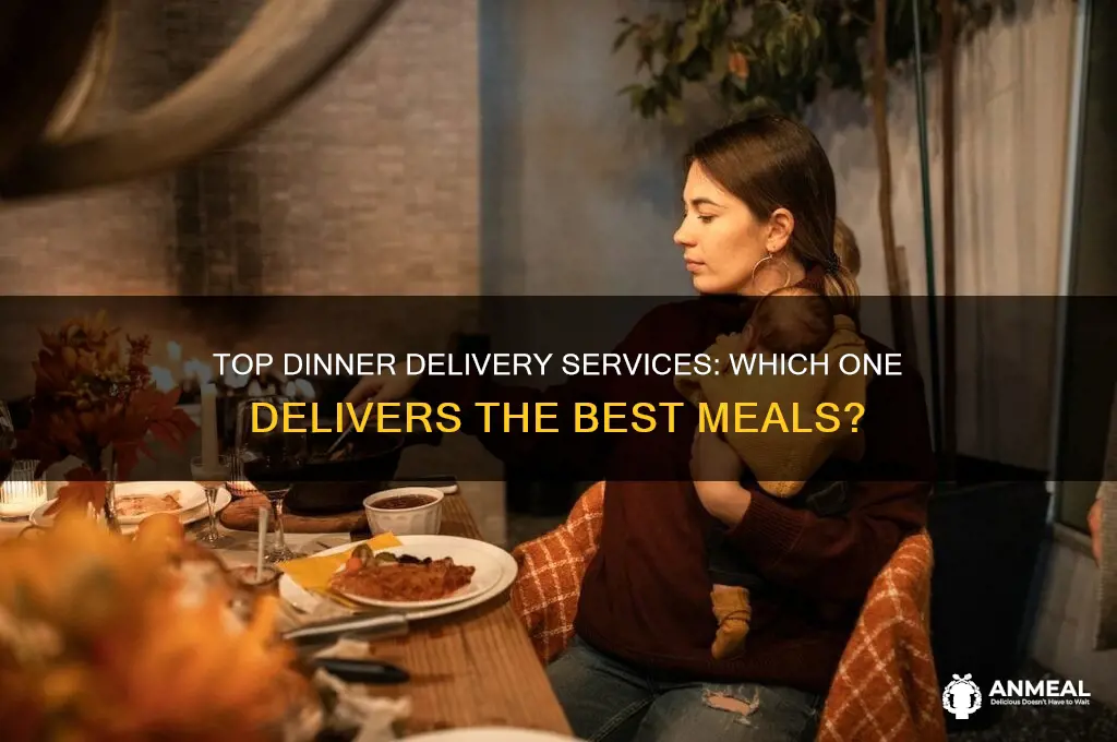 what is the best dinner delivery service